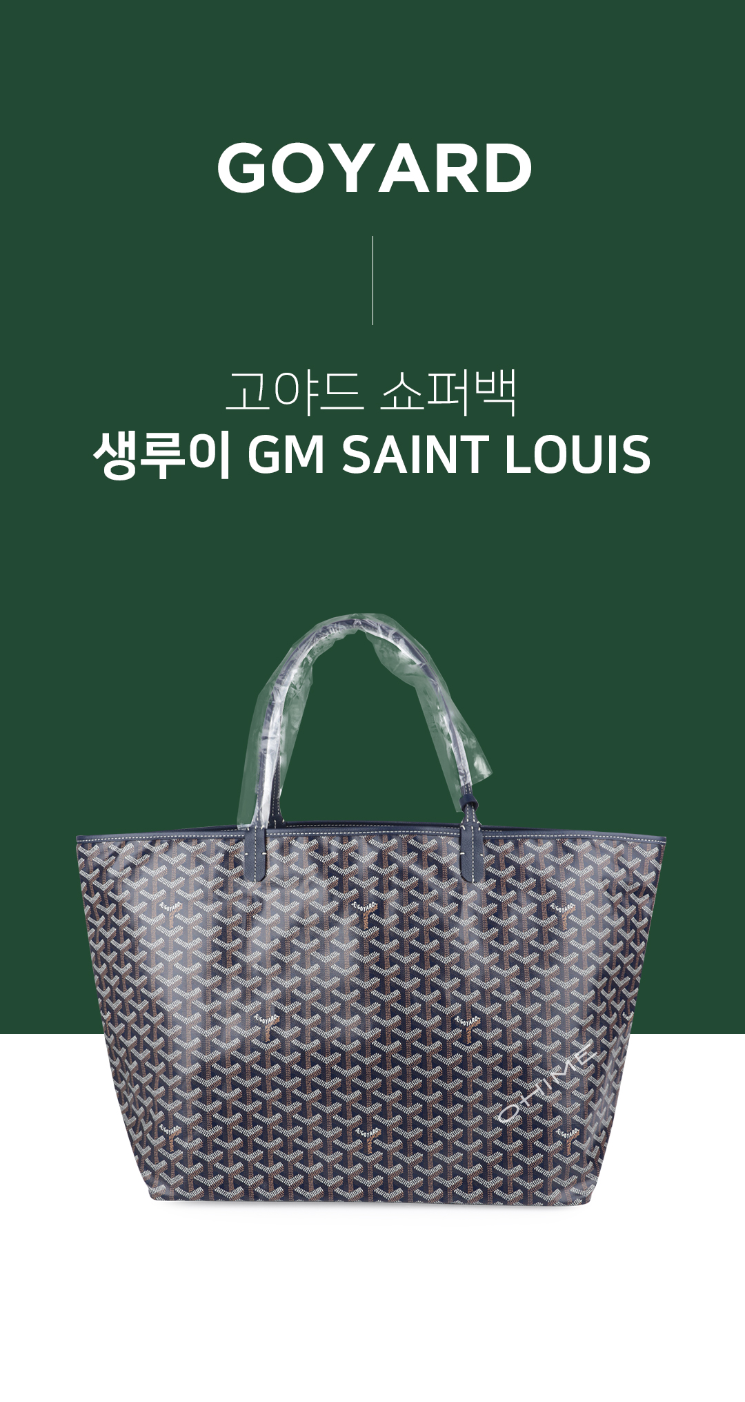 Goyard Anjou Mini Bag Green AMAANJOU-MINI-09